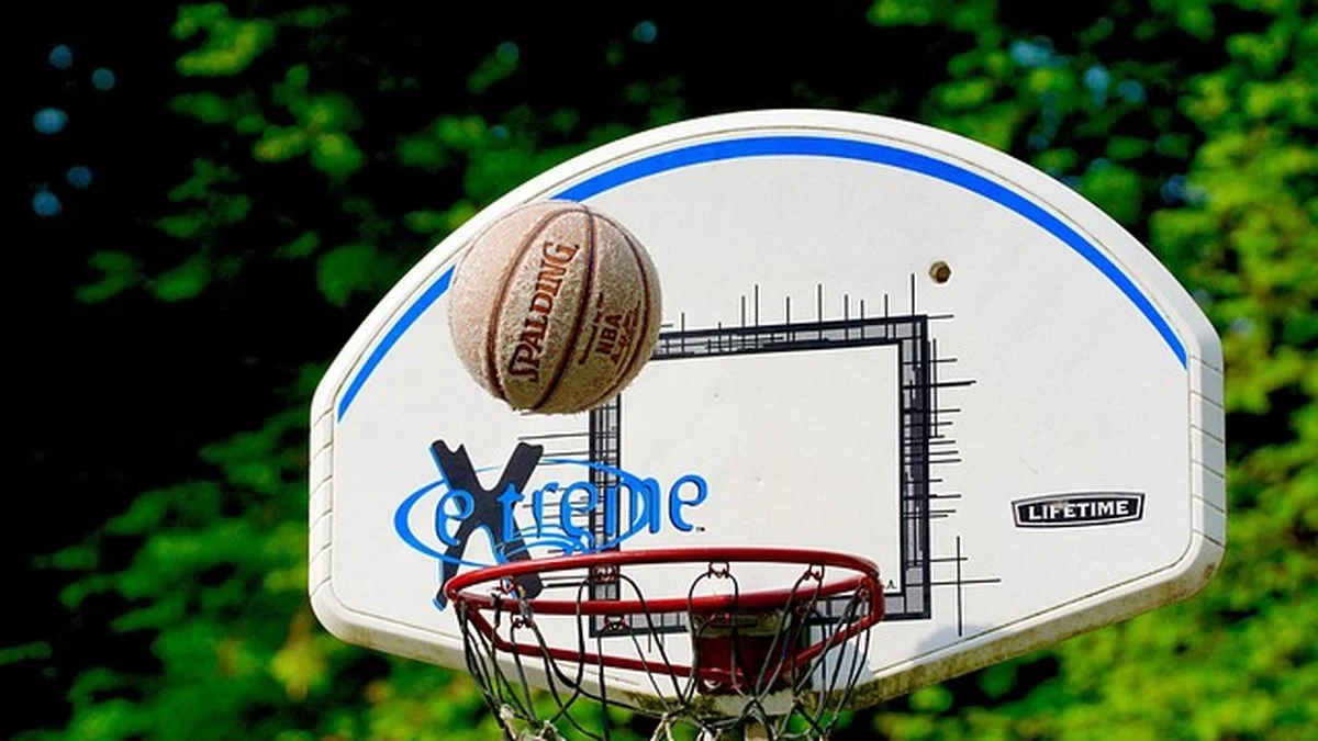 文班亚马静心回归带动NBA总决赛走势变化